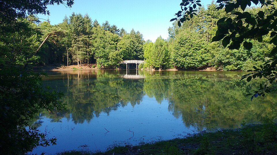 Wandelbos