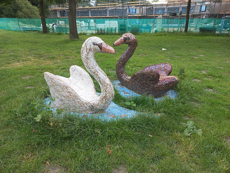 Zwanen van de Watergraafsmeer
