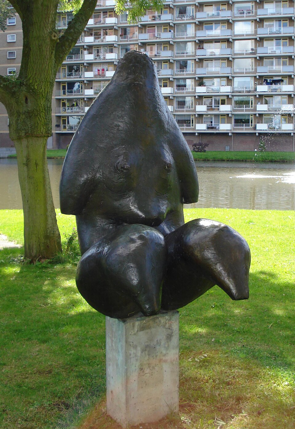 Vrouwentorso