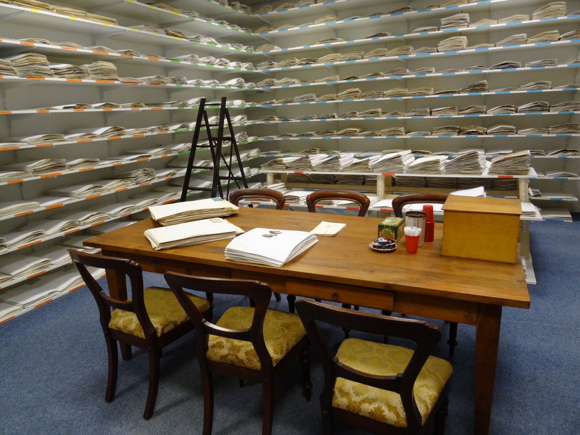 Herbarium Frisicum
