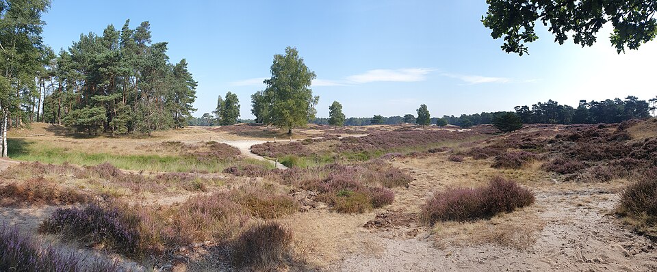 Heidestein