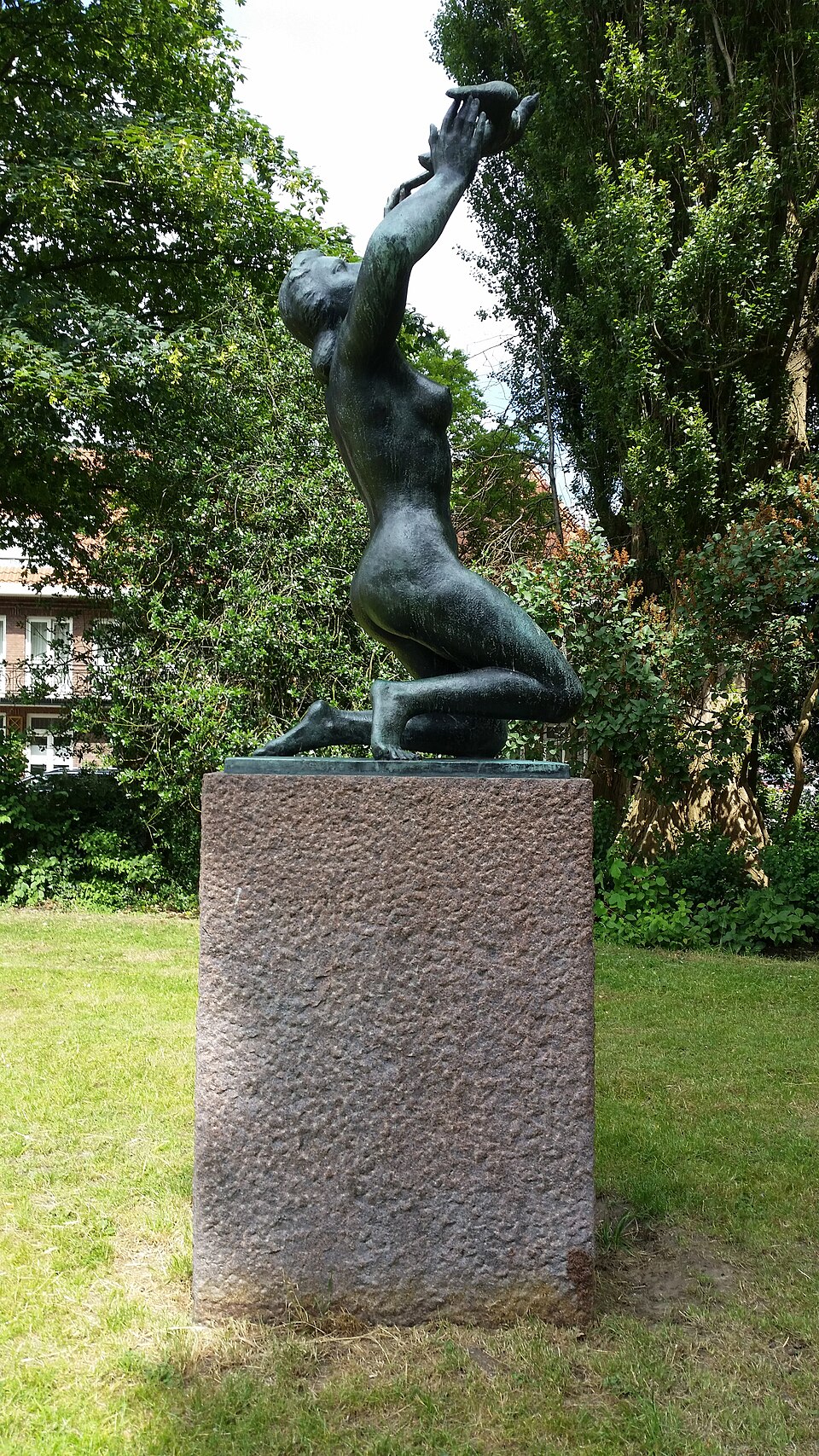 Vrede