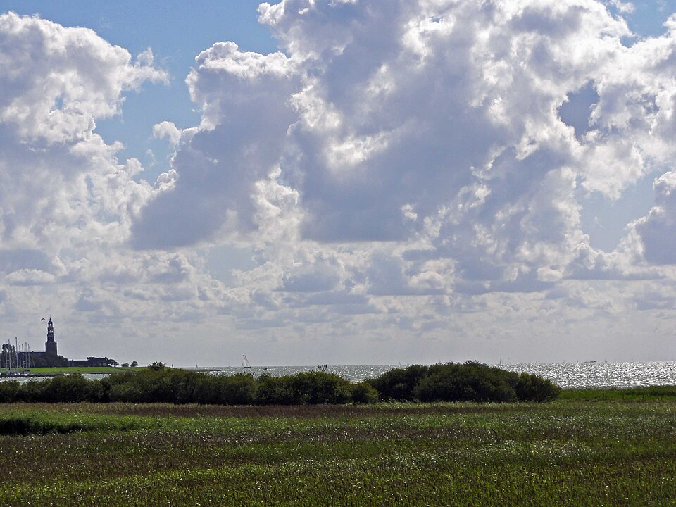 Stoenckherne