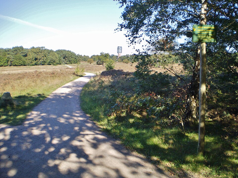 Fransche Kampheide