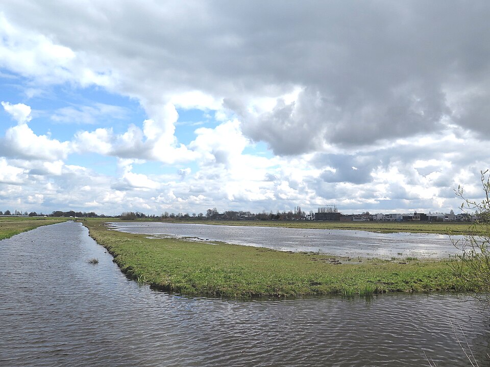 Voorofsche Polder