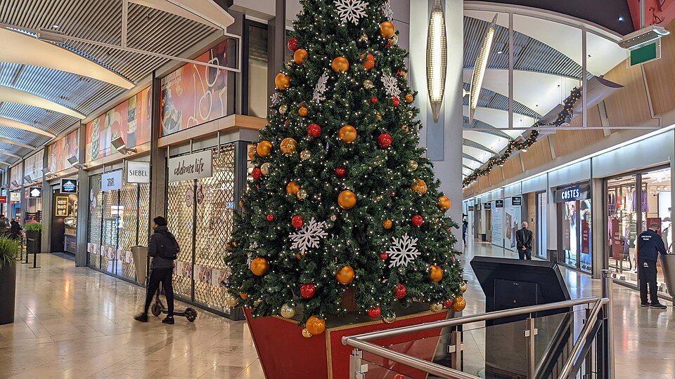 Alexandrium I