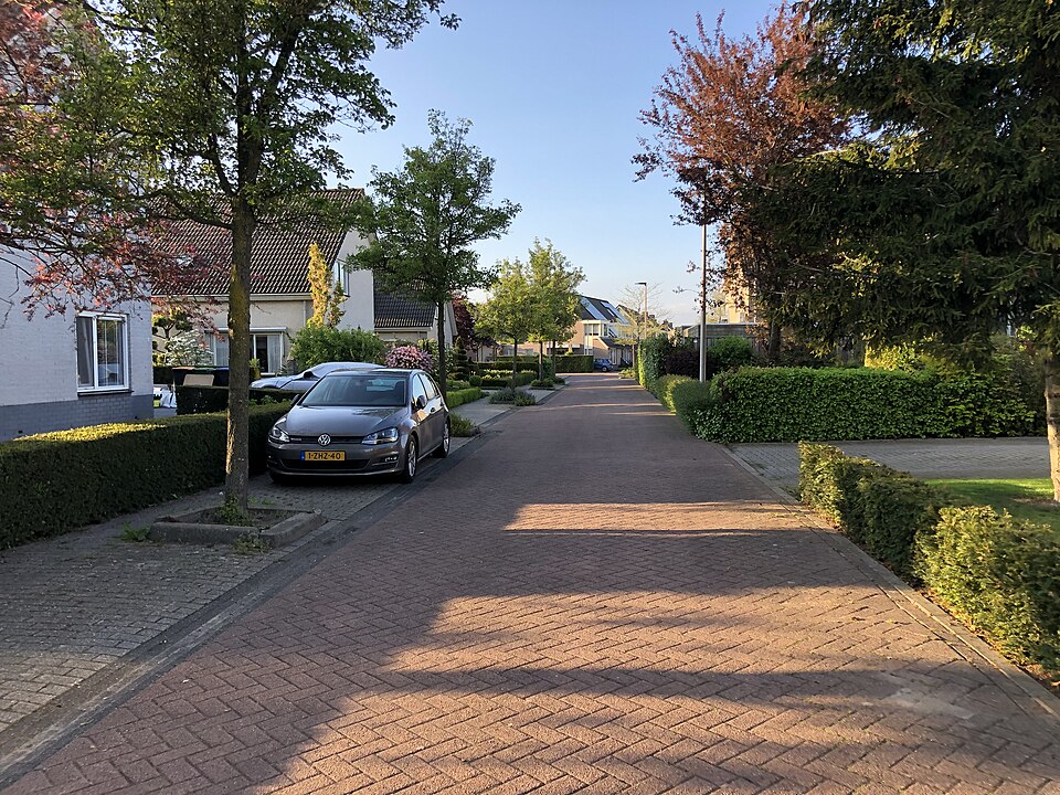 Het Slingerrijk